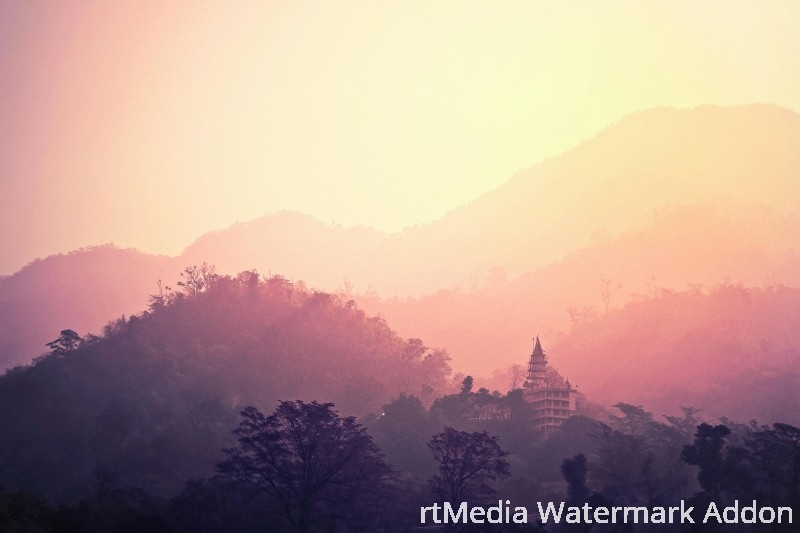 pexels-pixabay-257092