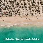 pexels-stergerz-11227589